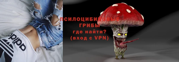 соль ск Абаза