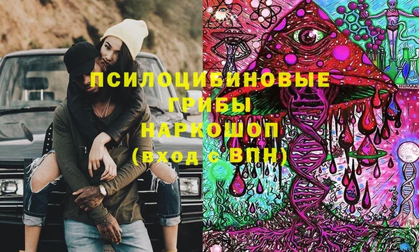 соль ск Абаза