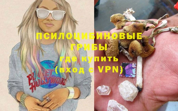 соль ск Абаза