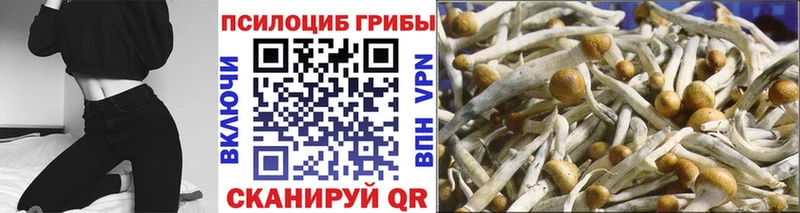 Галлюциногенные грибы мицелий  Галич 